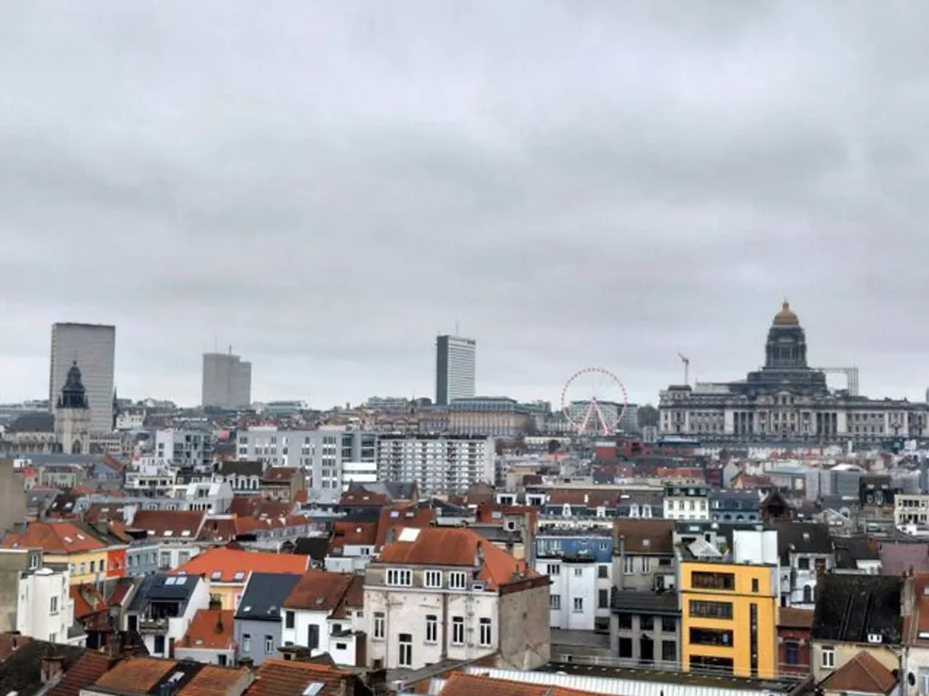 Modern Apartment with Terrace in Bruxelles
