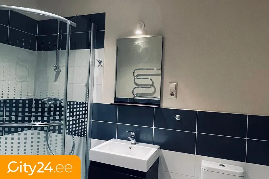 Vannitoad - Studio Flat in Central Riga