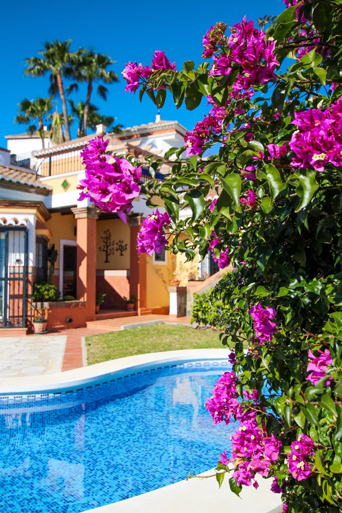 Piscine - Villa with Sea View and Pool in Tamango Hill