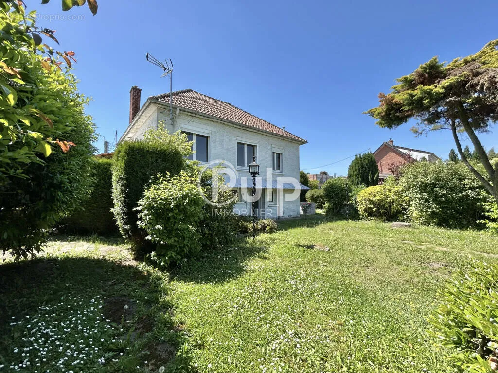 Jardin - Maison Plain Pied avec Sous-Sol à Isbergues