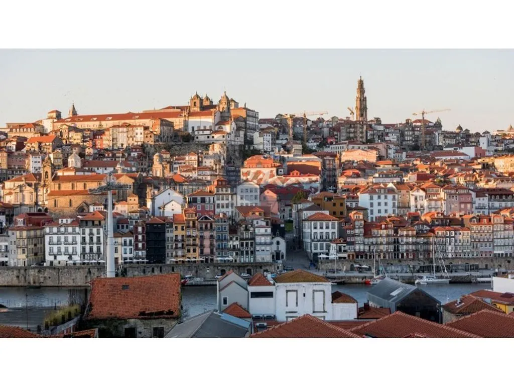 Luxury Flat in Historic Porto Centre
