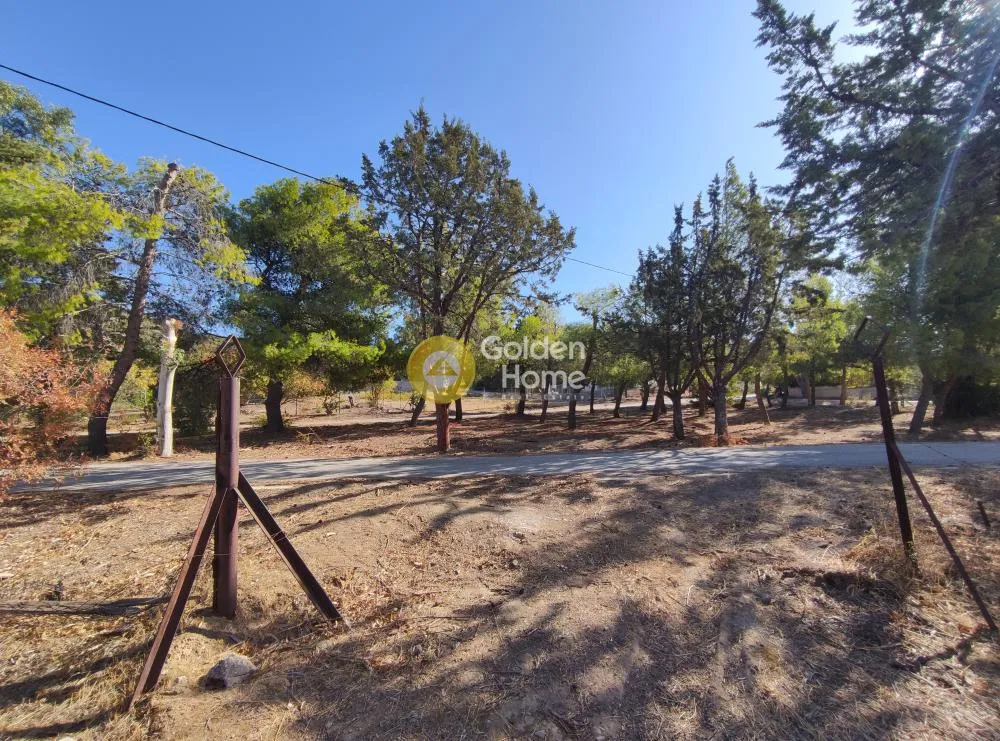 Aed - Plot with Sea View in Anavyssos Centre