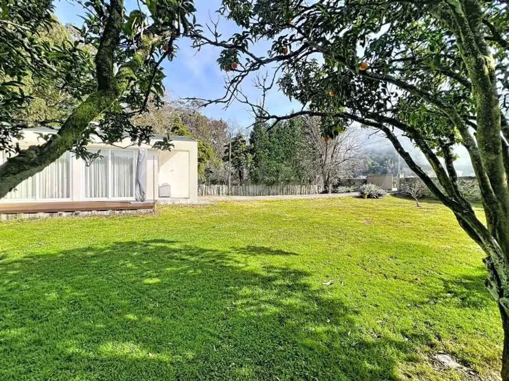 Jardin - Refurbished Villa with Garden in Caminha