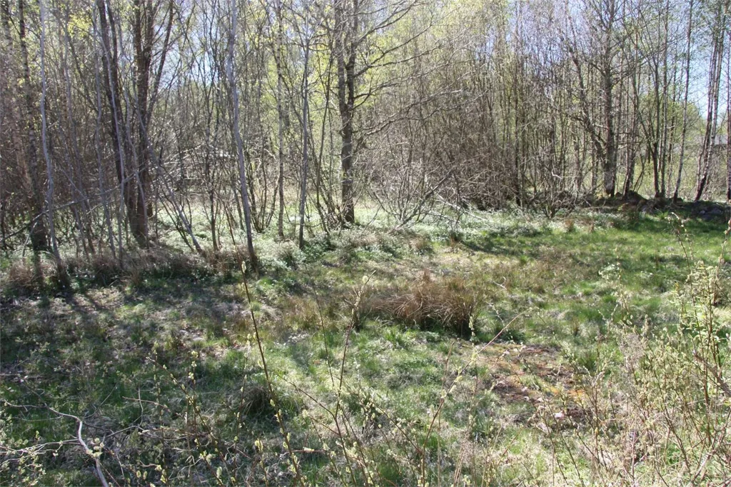 Maa asukohas Örkelljunga kommun