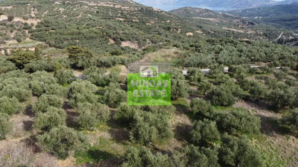 Giardino - Sloping Plot with Mountain View in Kissamos
