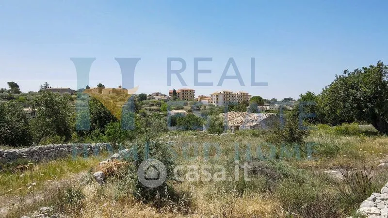 Garden - Rustic Cottage with Olive Grove in Modica