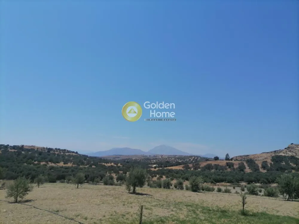 Garden - Buildable Plot with Olive Trees in Phaistos