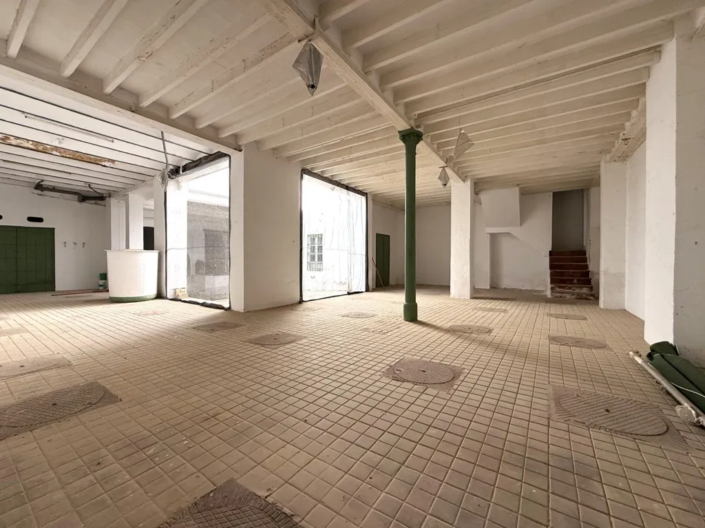 Toad - Historic House with Potential in Puente Genil