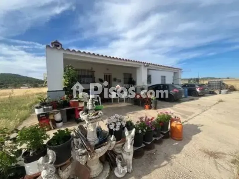 Terrasse - Rustic House with Large Garden in Sur