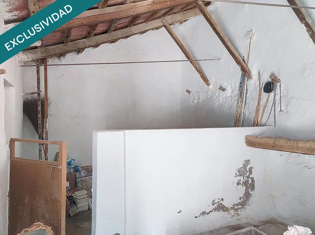 Toad - Detached House with Large Plot in Almagro