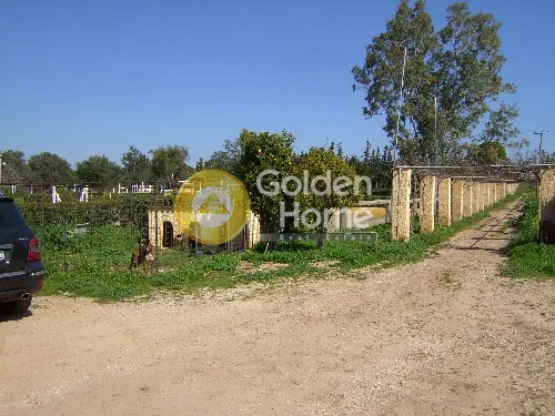 Aed - Plot with View in Koropi, Attica