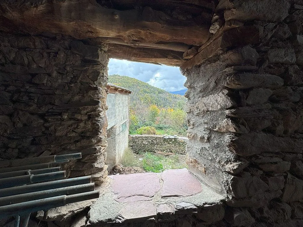 Toad - Ancient Borda with South Views in Bisaurri