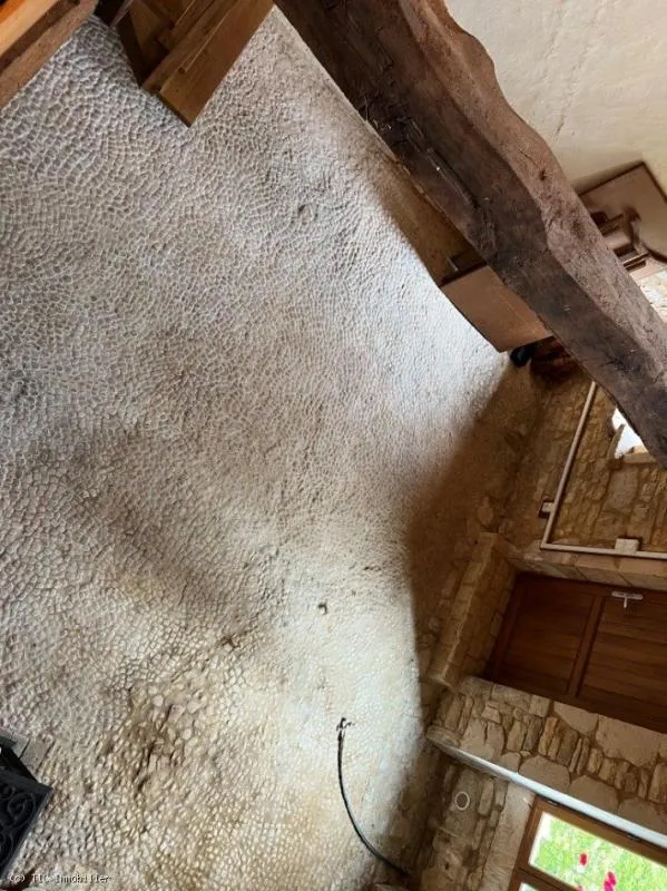 Toad - Spacious House with Large Garden in Cellefrouin