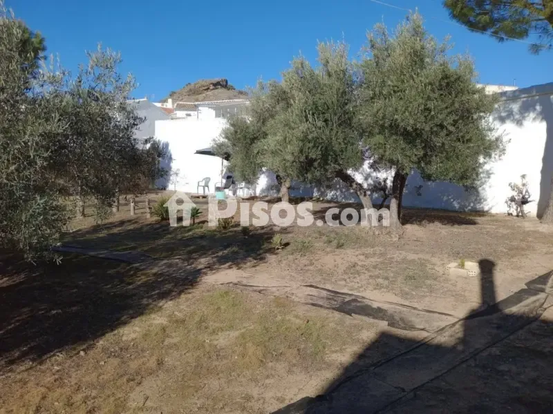 Garden - Rustic House with Garden in La Atalaya