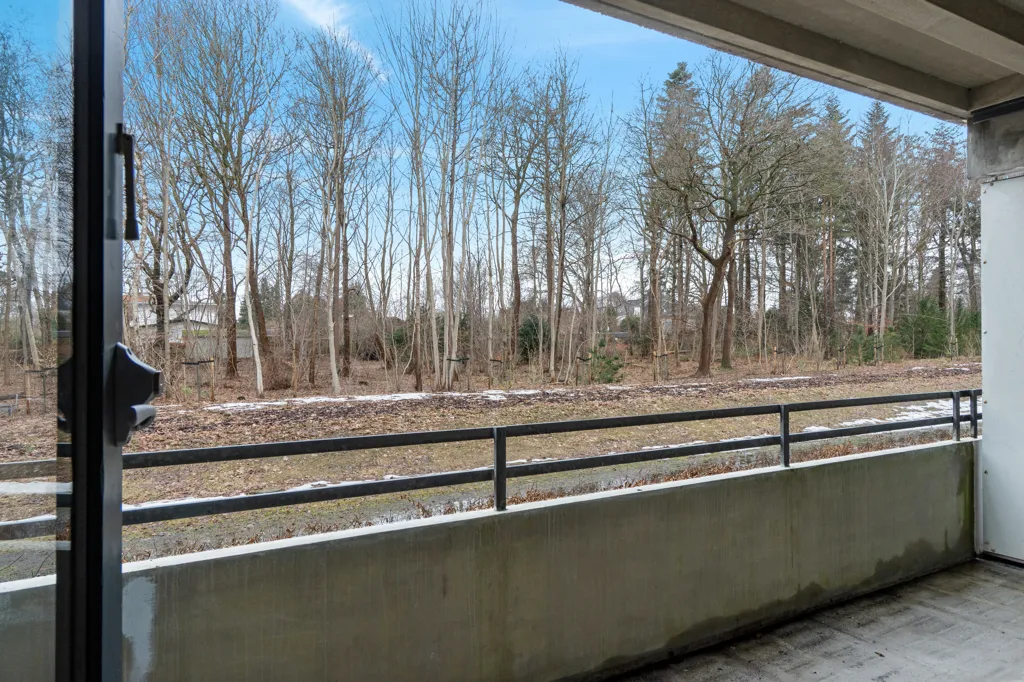 Balcon - Spacious Apartment with Forest View in Holte