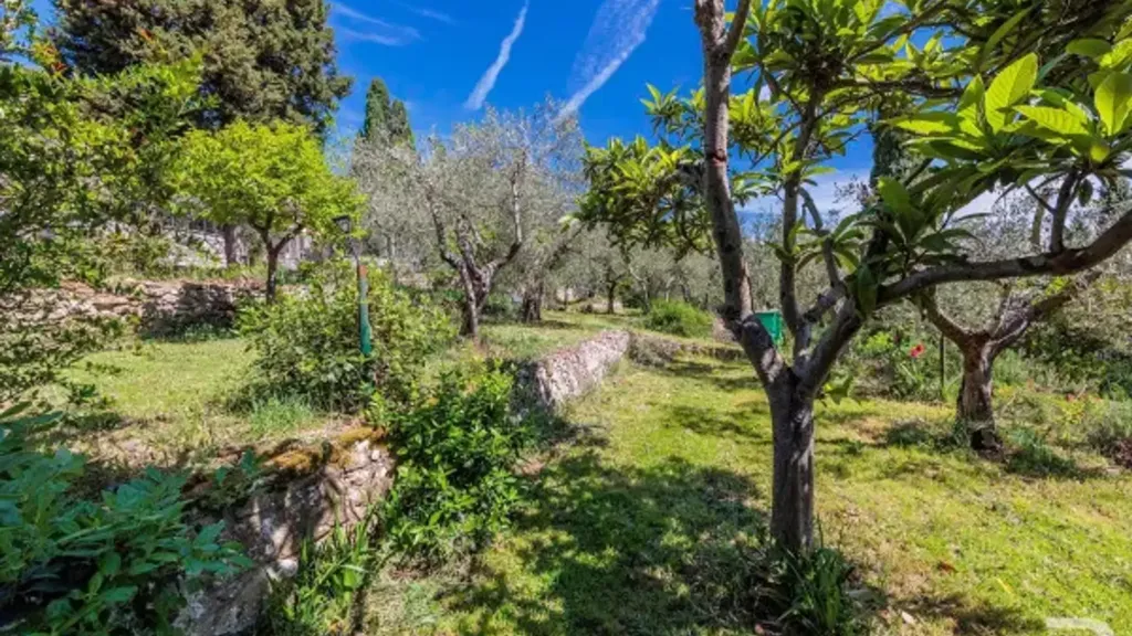 Aed - Luxury Villa with Olive Garden in Sinalunga