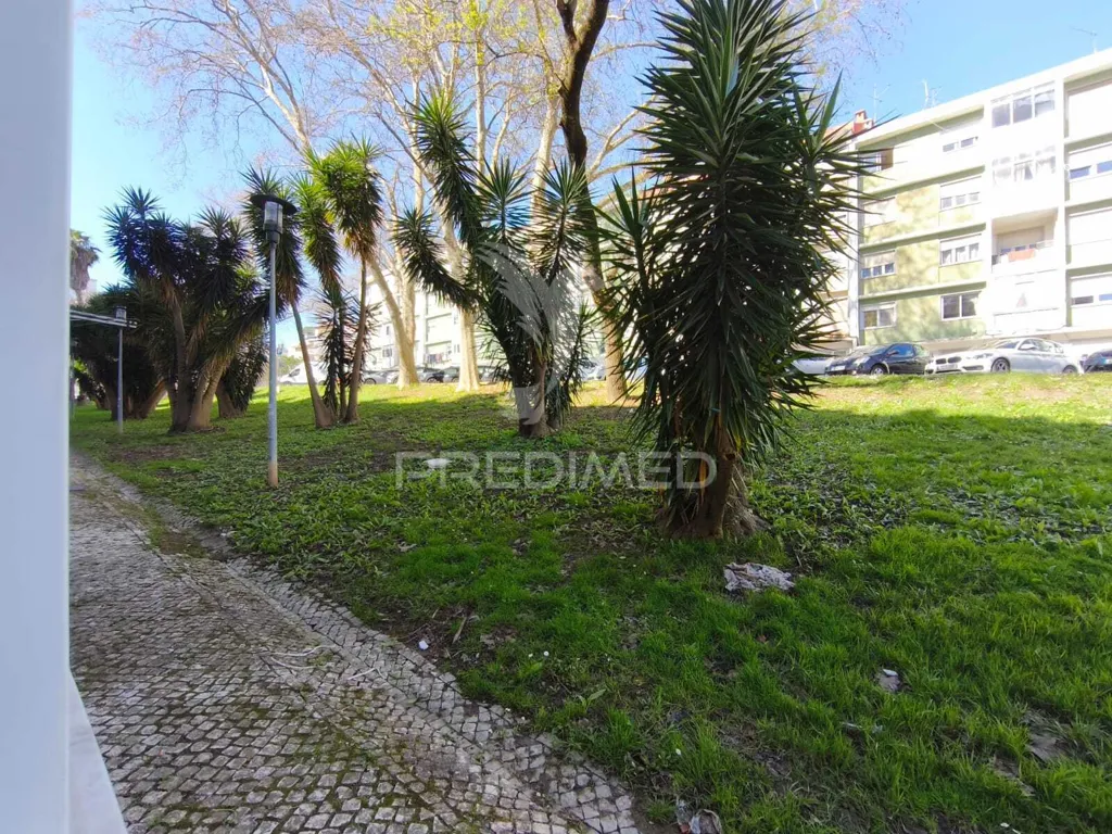 Jardin - Remodelled T2 Apartment with Two Sunlit Fronts in Benfica