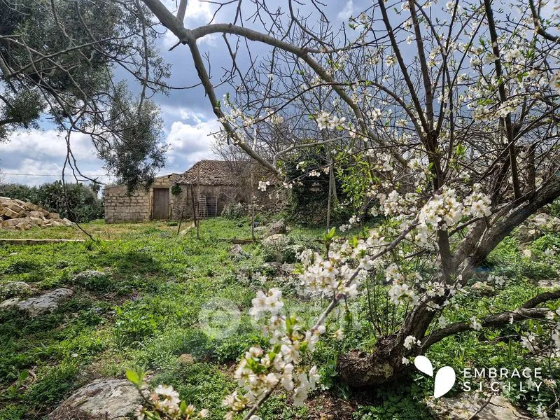 Aed - Rustic House with Garden in Noto