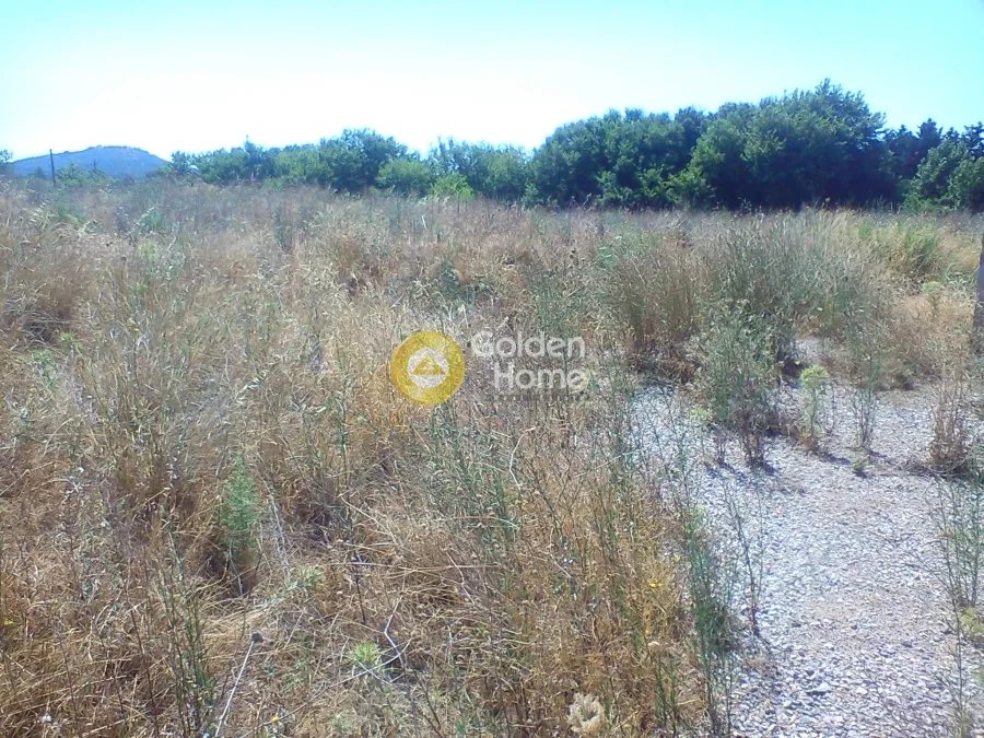 Garden - Agricultural Plot with Unrestricted View in Kiparissia