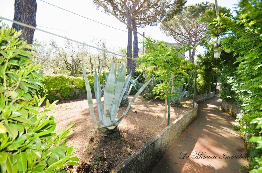 Aed - Luxury Villa with Sea View in Massa Lubrense
