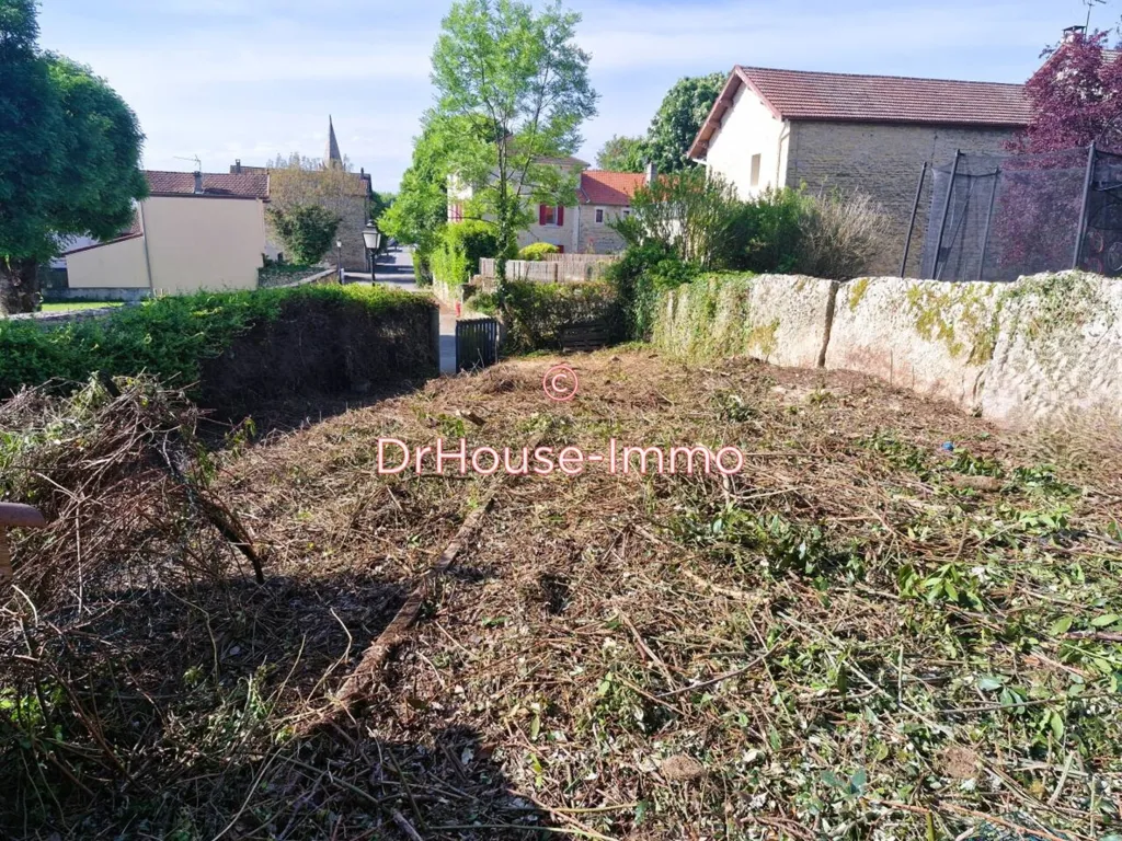Jardin - Terrain Constructible au Calme à Saint-Hilaire-de-Brens