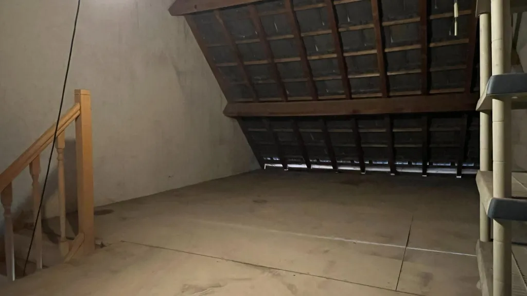 Toad - House with Potential in Saint-Cyr-En-Val