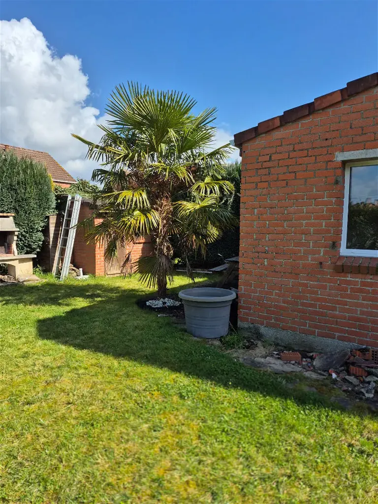 Maison 4 pièces à Provin
