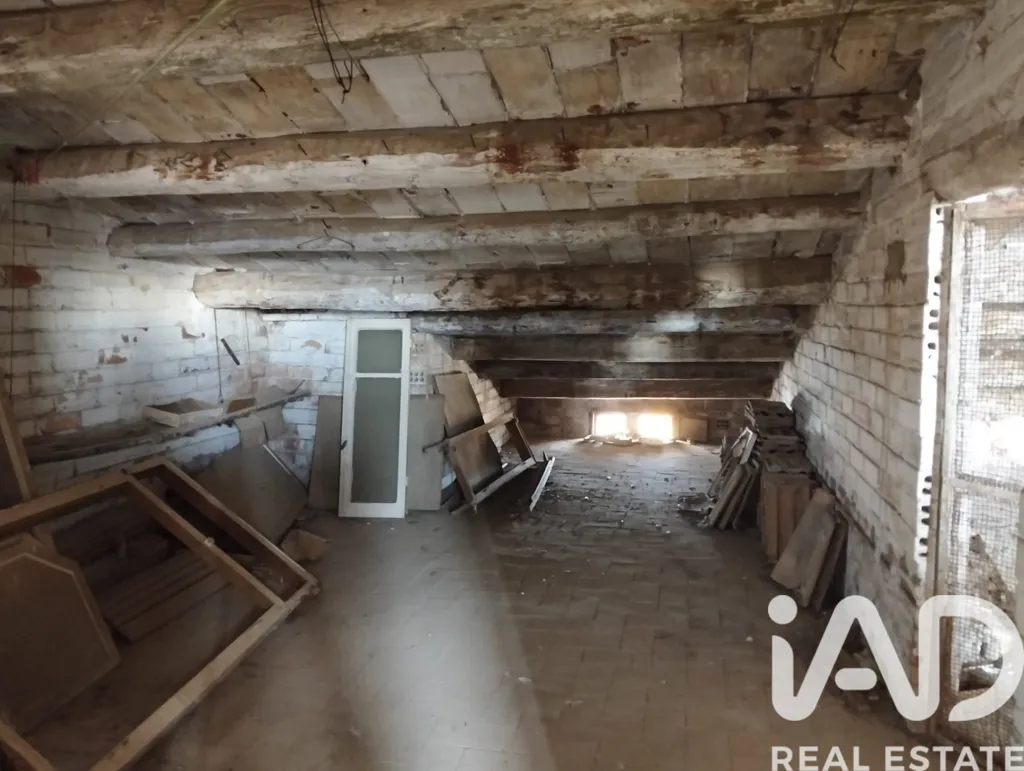 Toad - Spacious House with Terraces in Tornabous