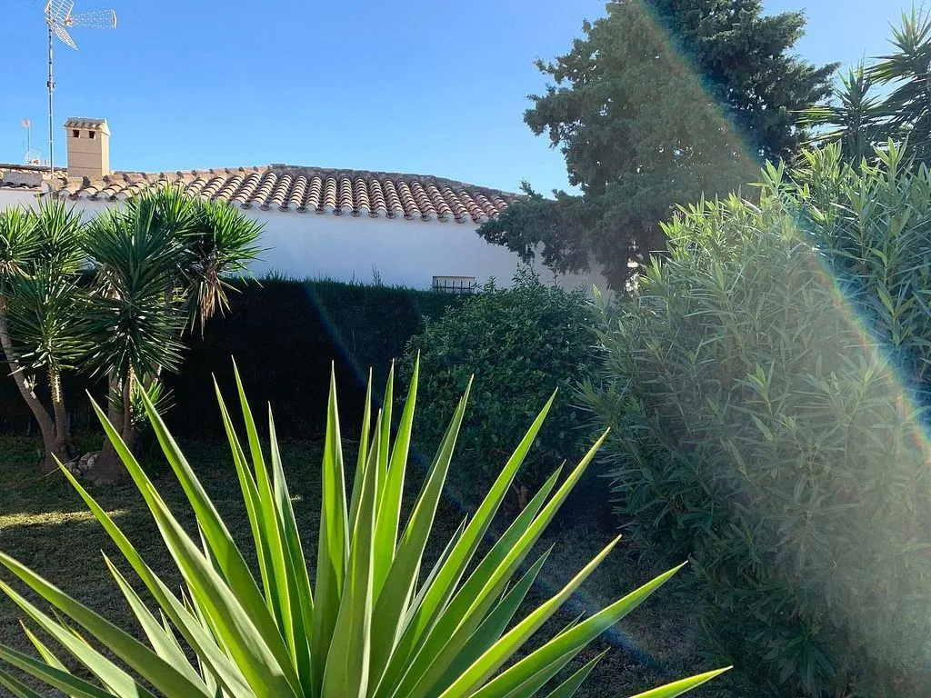 Jardin - Chalet with Garden in Campoamor