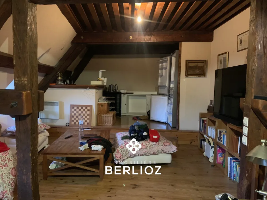 Elutuba - Duplex Apartment in Château d'Uriage