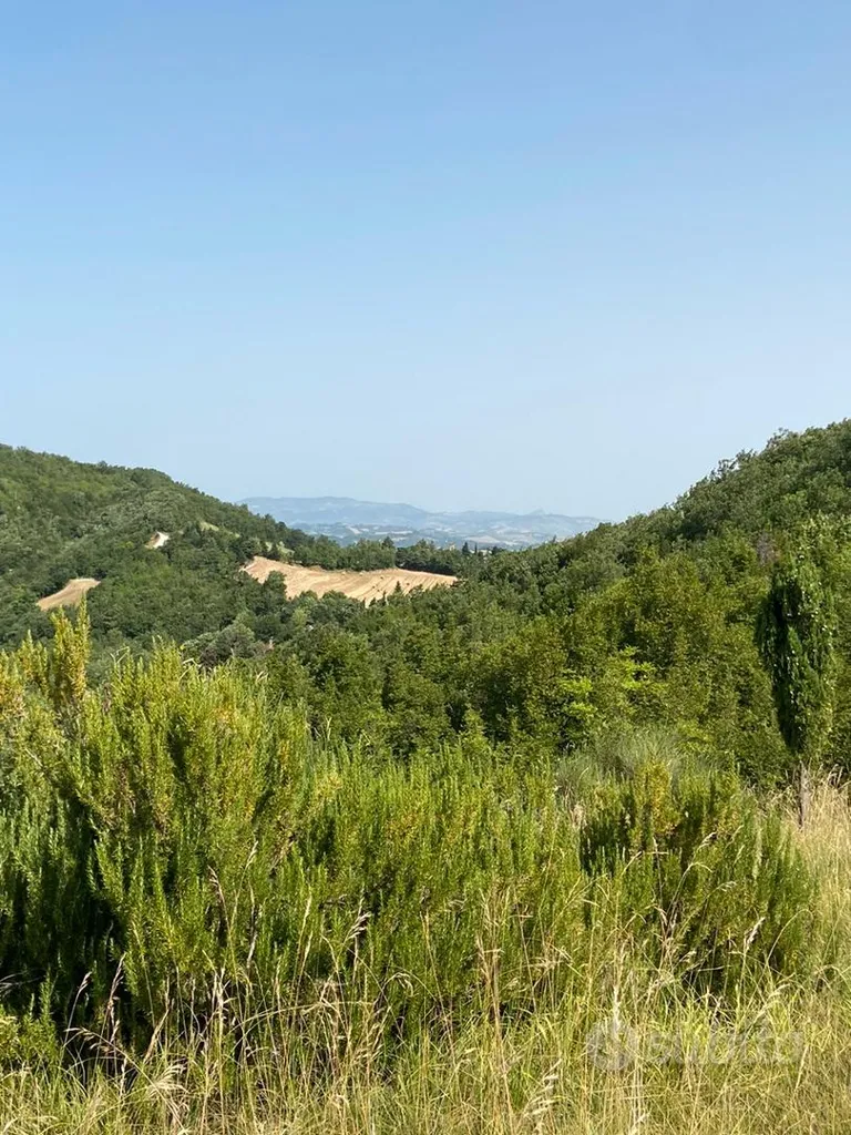 Giardino - 40 Hectare Land with Buildable Plot in Urbino