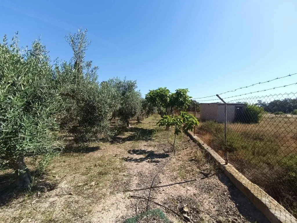 Giardino - Chalet with Seafront Potential in La Marina, Elche