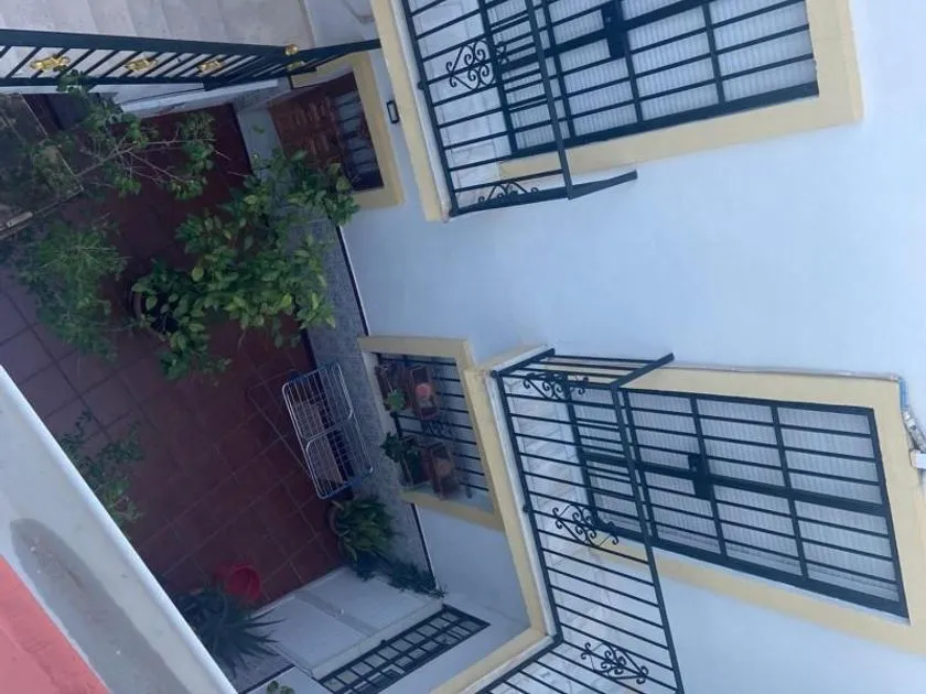Garden - Chalet with Apartments in Centro Histórico, Jerez