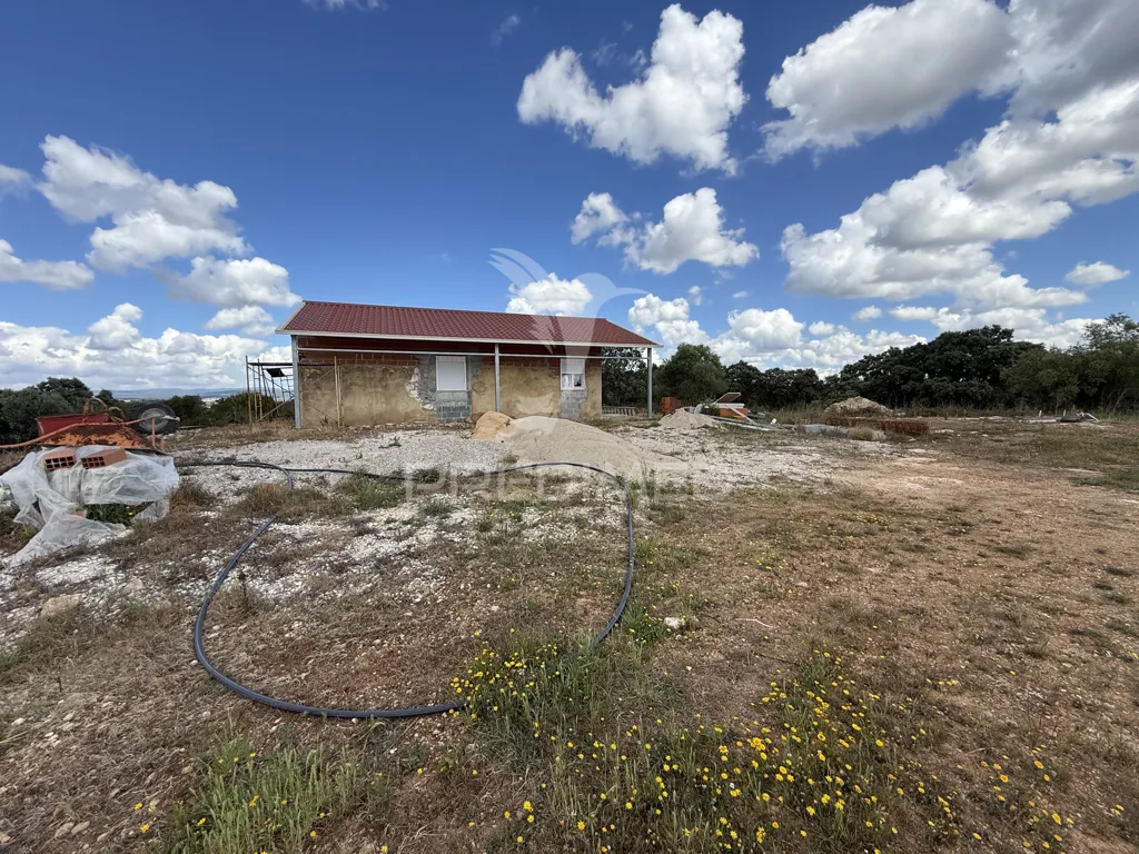 Jardin - Rural Quinta with Olive Grove in Vaqueiros