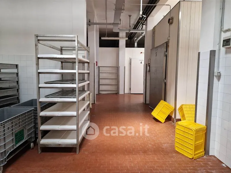 Pesuköök - Mixed-Use Rustico with Industrial Space in Falconara Marittima