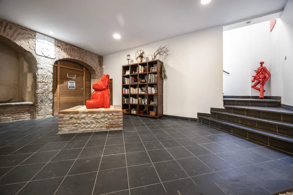 Esik - Character Apartment with Garden in Perpignan Centre