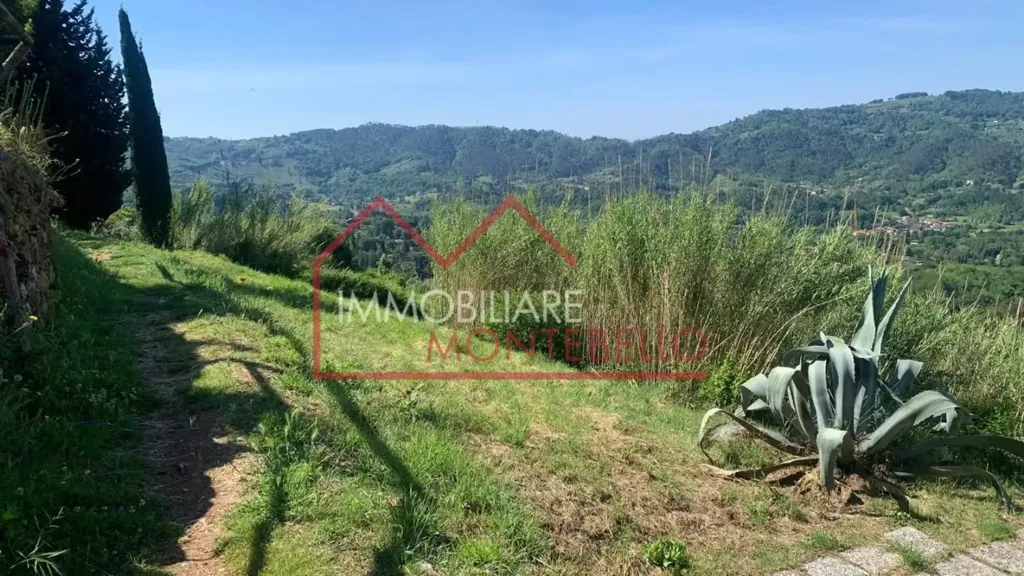Jardin - Tuscan Rustico with Sea View in Camaiore