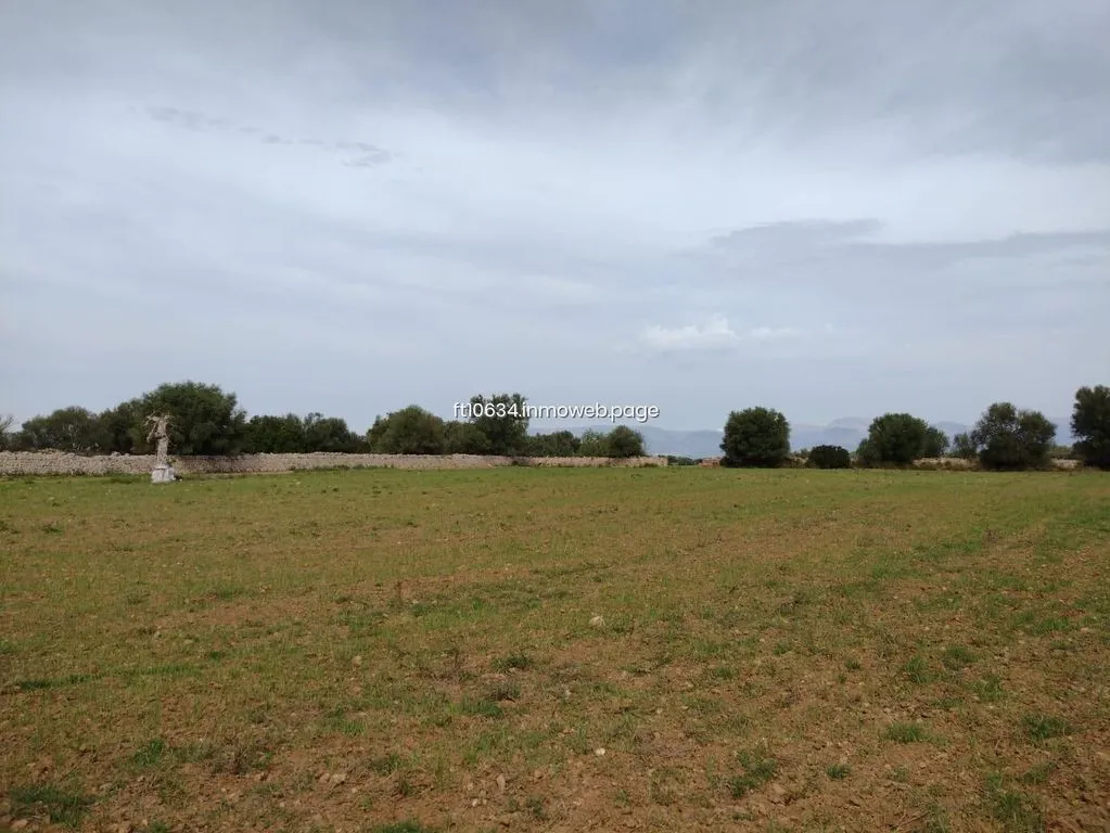 Aed - Luxury Farmhouse with Stone Walls in Algaida