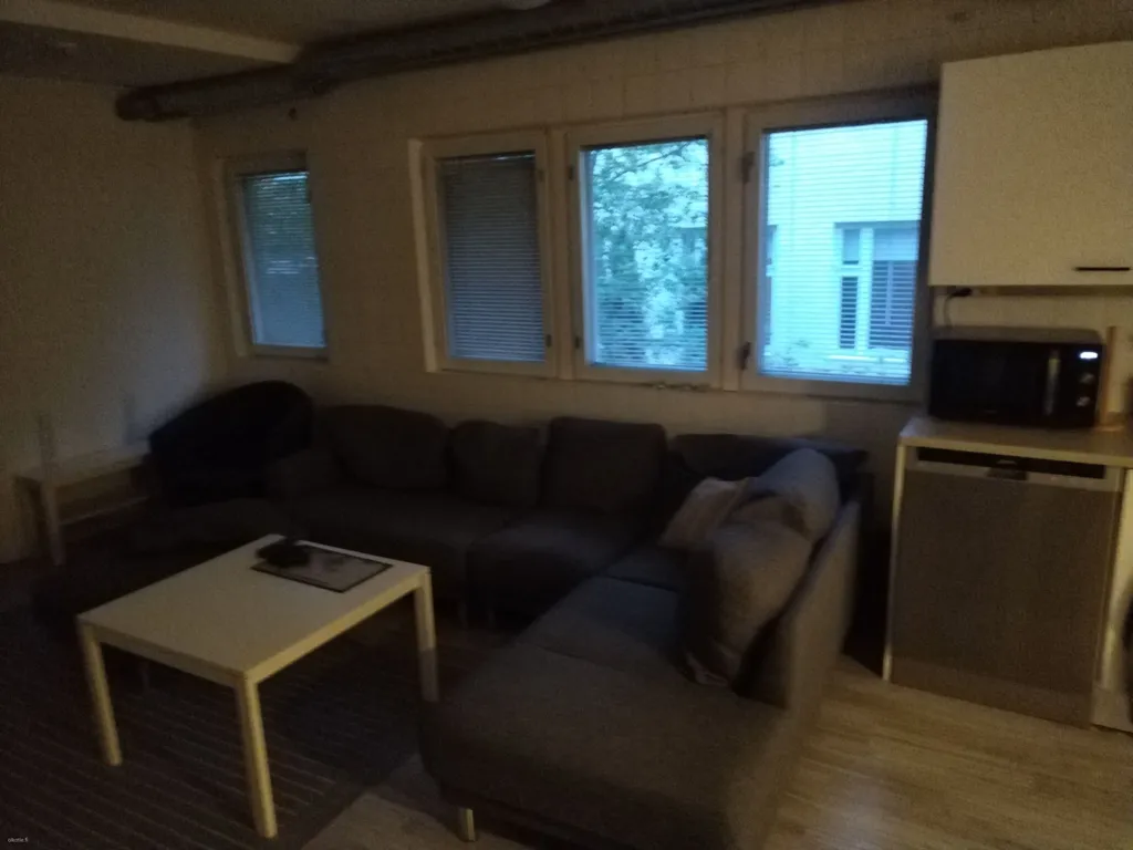 Séjour - Artisan Villa with Sauna in Heinola