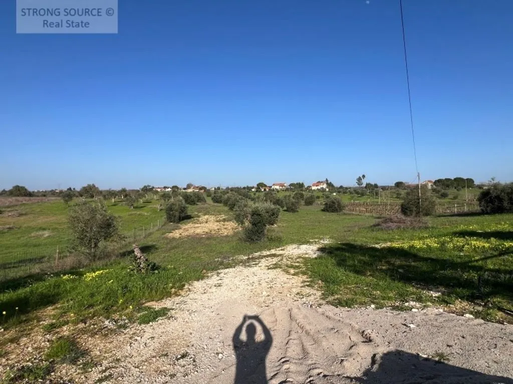 Jardin - Luxury Farmhouse with Pool in Ribatejo