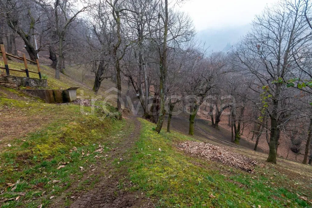 Rustic House with Private Garden in Cervasca