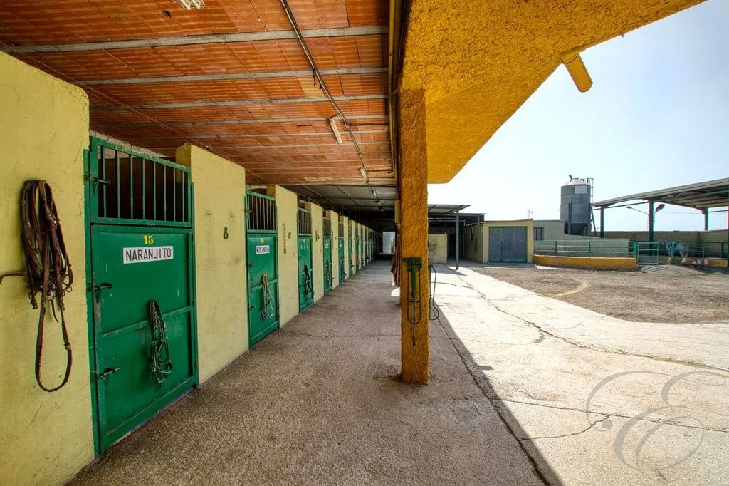 Aed - Equestrian Centre with Coastal Proximity in Torre del Mar