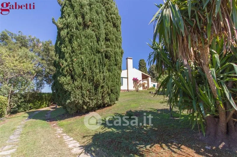 Garden - Villa with Sea View in Monte Argentario