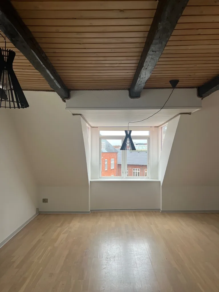 Toad - Two-Bedroom Flat in Skive
