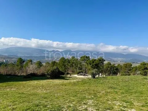 Jardin - Rustic Podere with Olive Grove near Spoleto