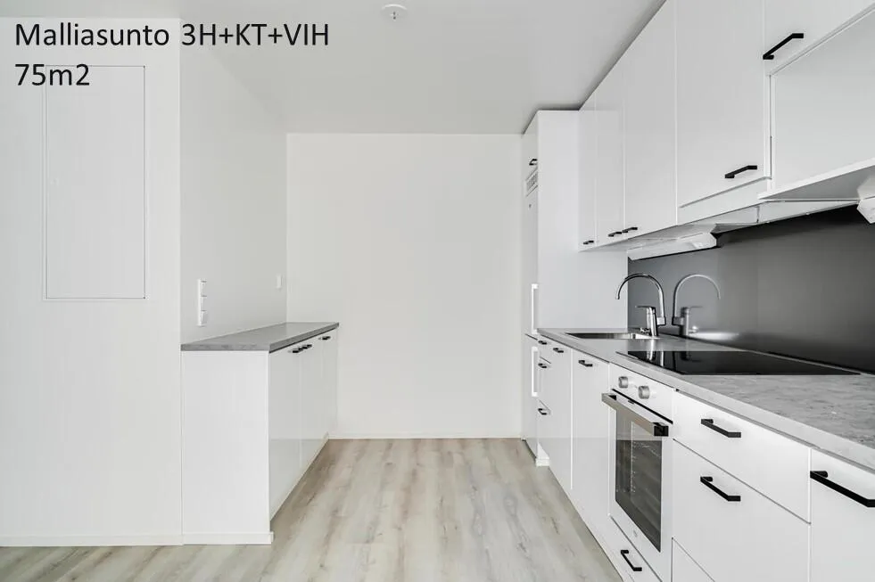 Köök - Modern Flat with Conservatory in Aurinkolahti