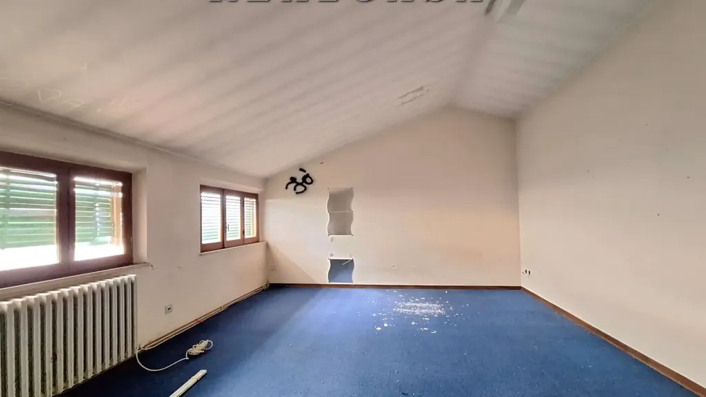 Toad - Independent House with Large Garden in Osimo