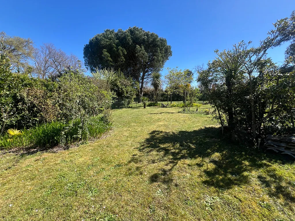 Jardin - Maison 4 Pièces avec Jardin Sud à La Teste-de-Buch