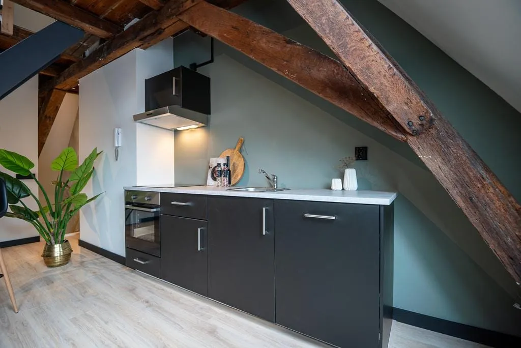 Cuisine - Characterful Apartment with Skylight in City Centre