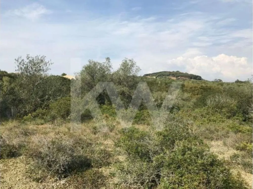 Aed - Rustic Land with Mountain Views in Sintra